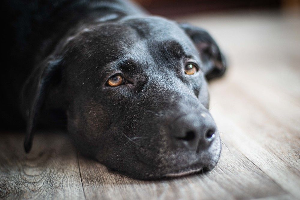 Photograph by Наталья Безмельницына