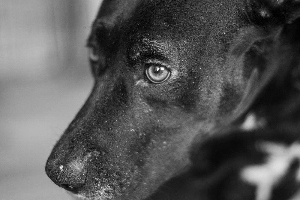 Photograph by Наталья Безмельницына