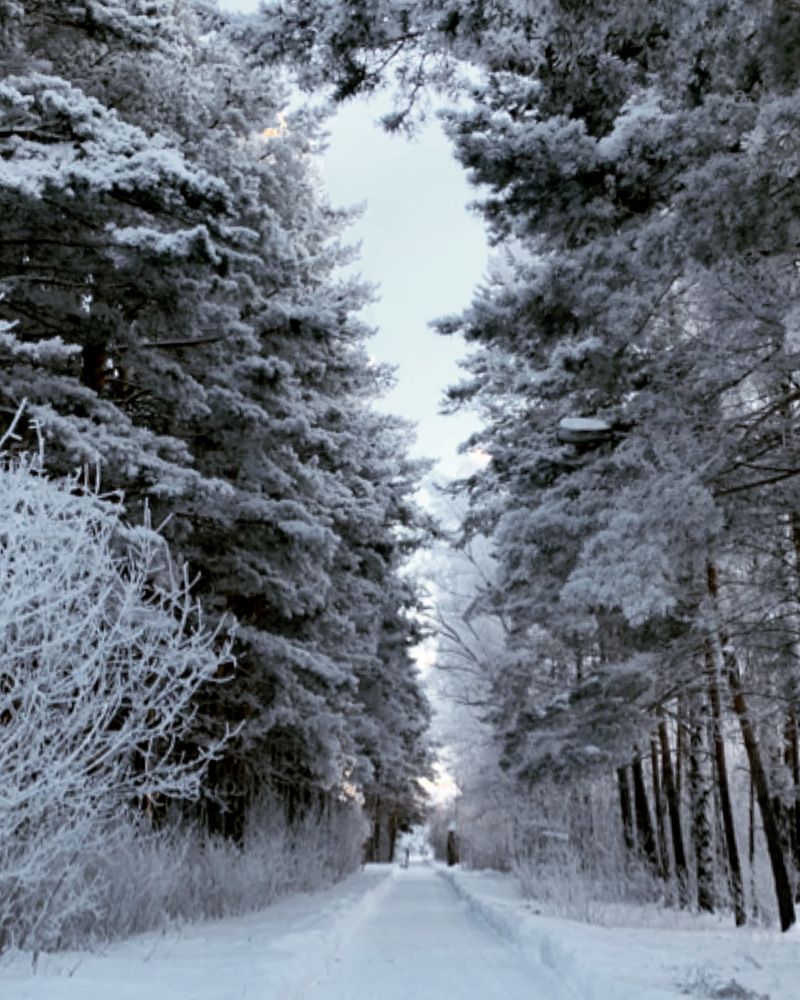 Photograph by Ирина Тимонина