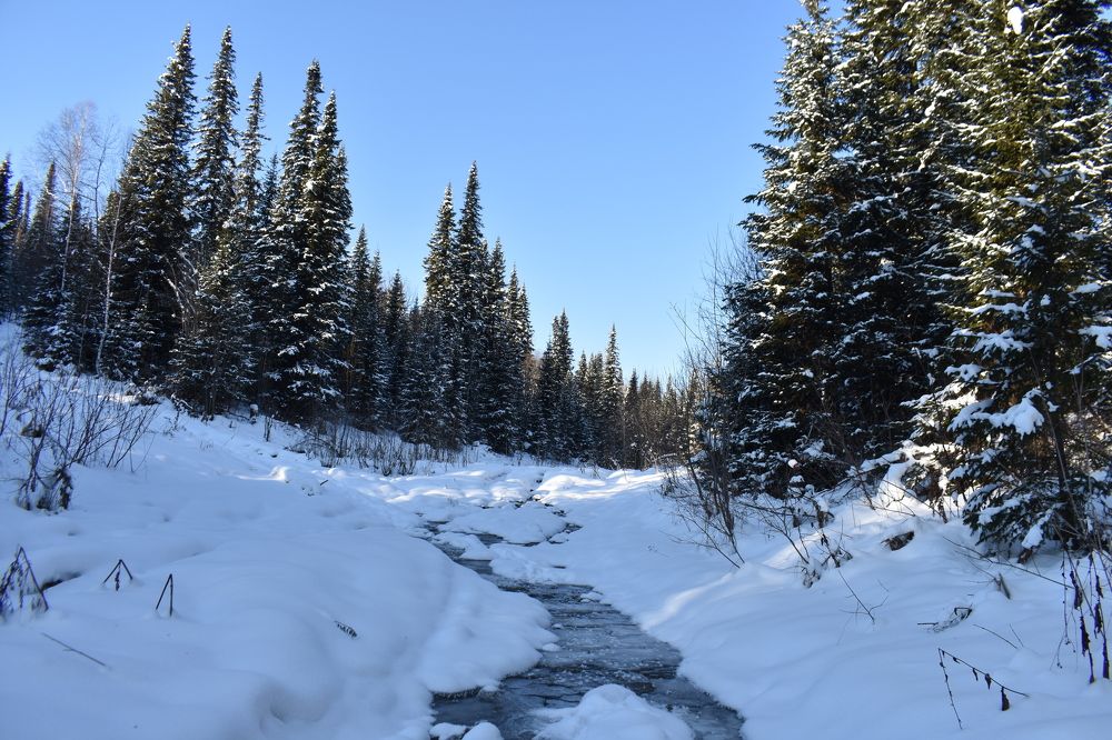 Замерзающий ручей.