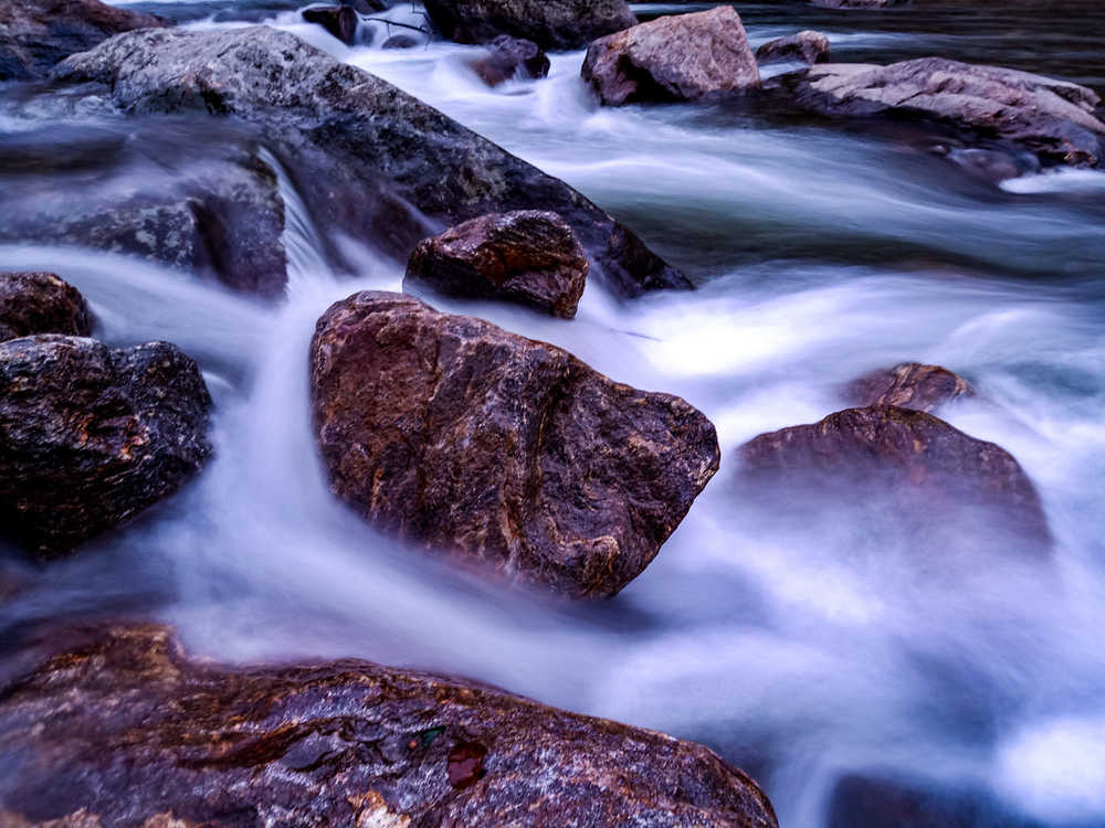 Photograph by Jayanta Guha