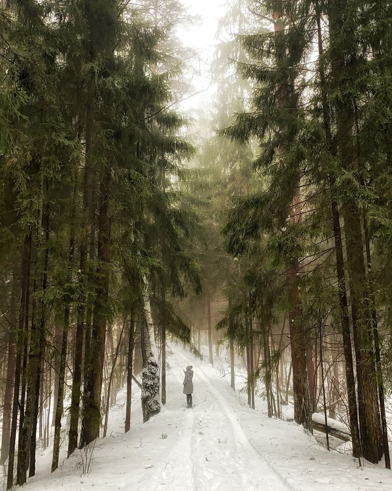 Photograph by Сергей Протасов