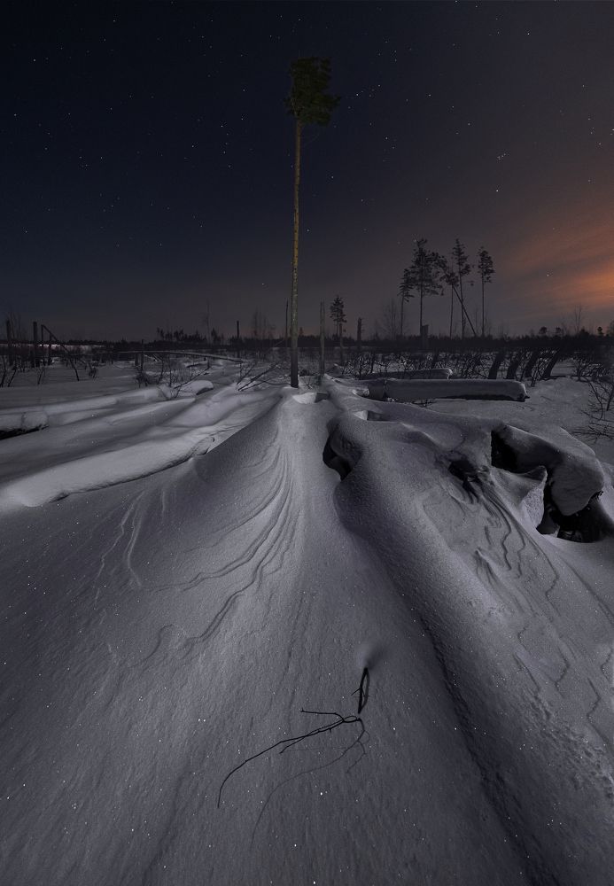 Фотография автора Максим