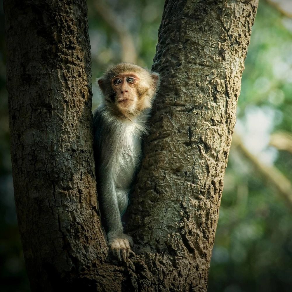 Photograph by Madhurya Mozumder