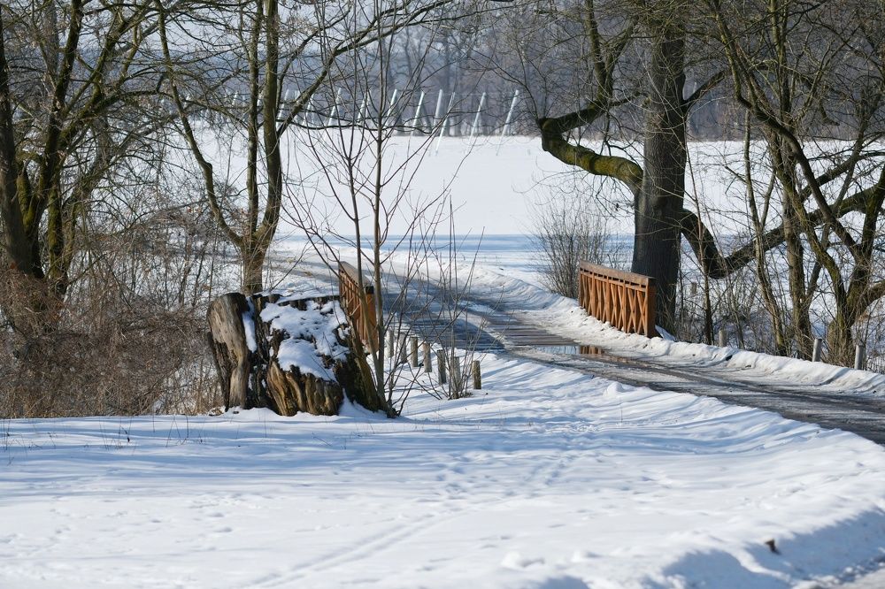 Фотография автора Iwona Moskalik