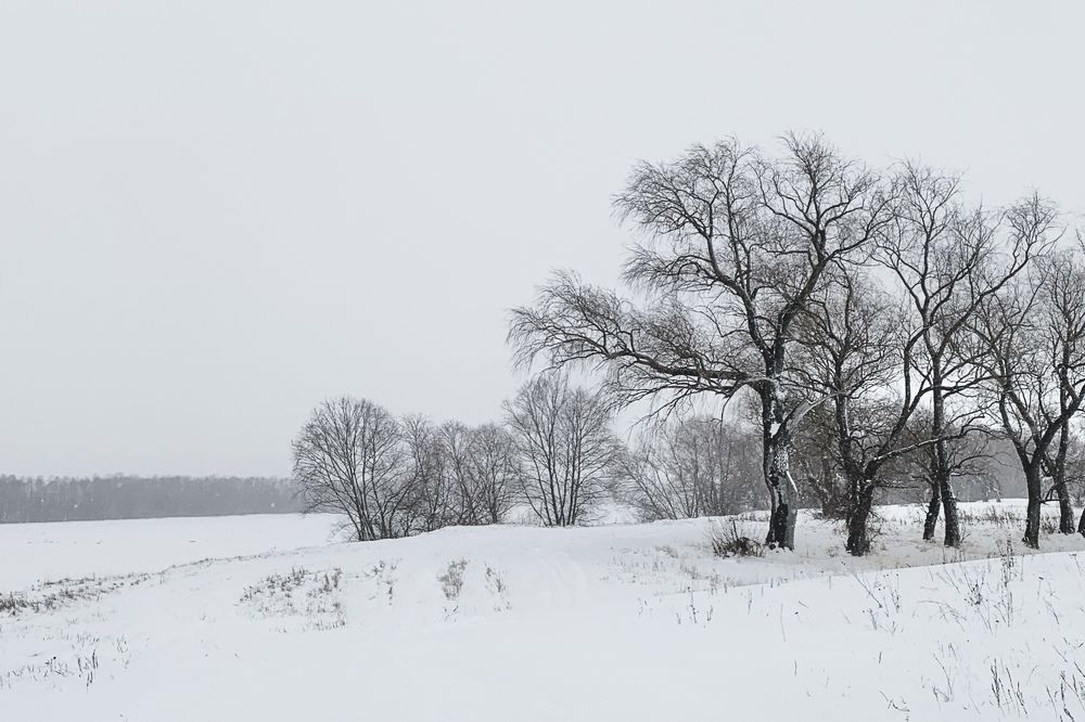 Photograph by Ирина Тимонина