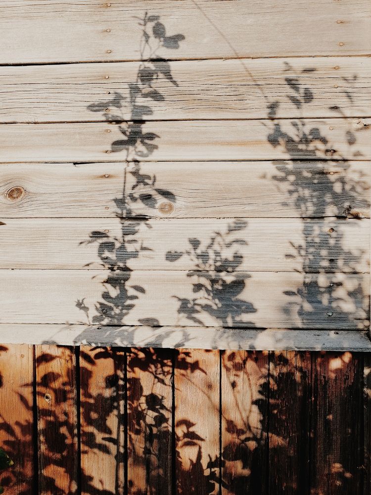 Photograph by Ная Моложенко