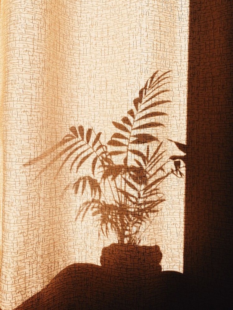 Photograph by Ная Моложенко