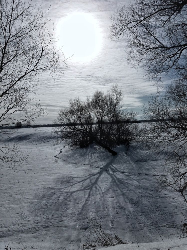 Photograph by Natalia