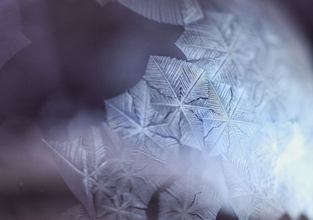 Фотография автора Iwona Moskalik