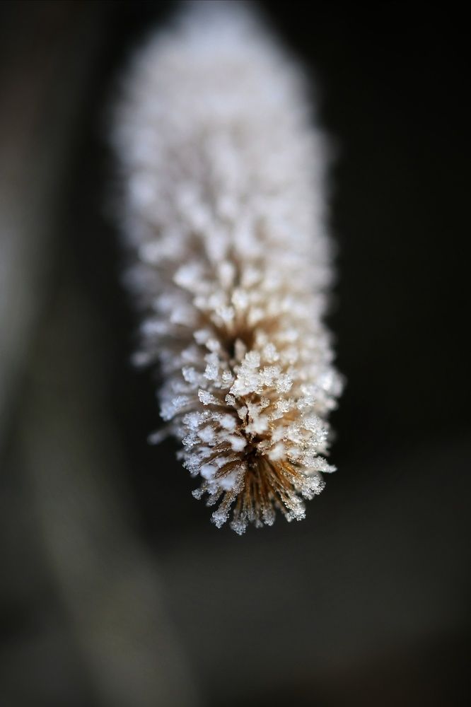 Фотография автора Iwona Moskalik