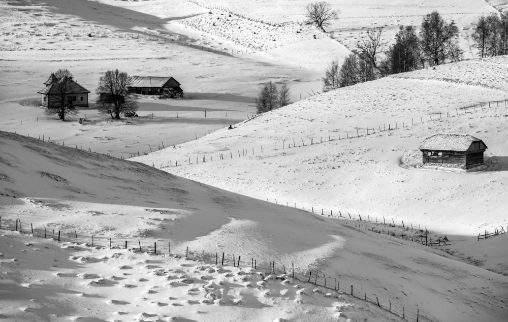 Photograph by George Alexandru