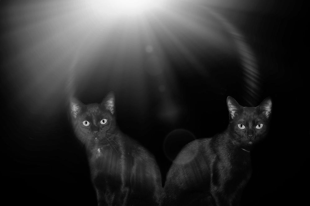 Photograph by Sandor Zoltan Gal