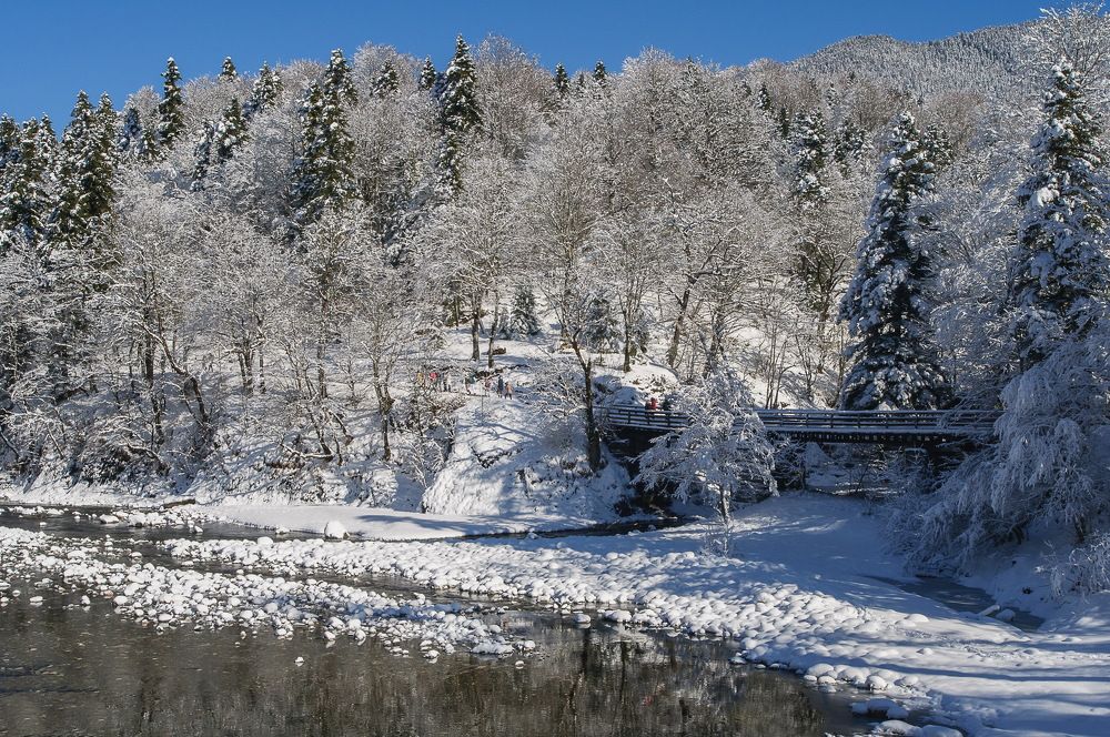 Адыгея. Река Белая.