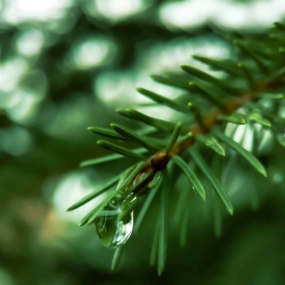 Photograph by Романова Мария