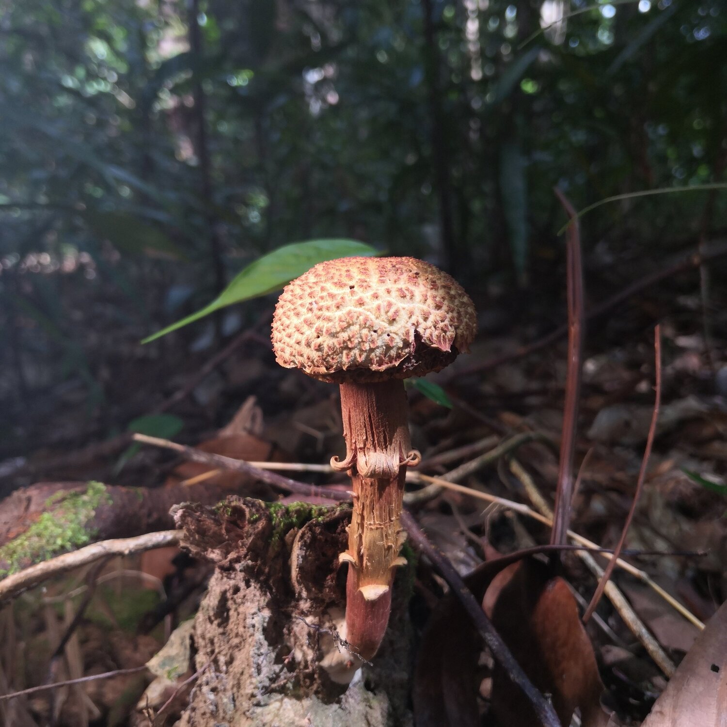 Photo #5926392