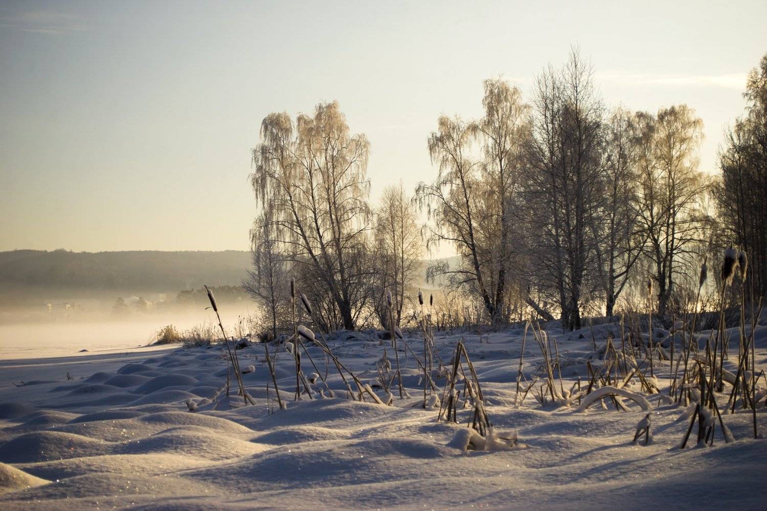 Photo #5926406