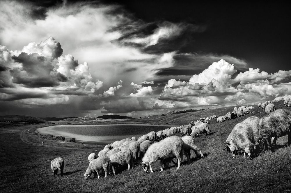 Photograph by Jelena Janjetović