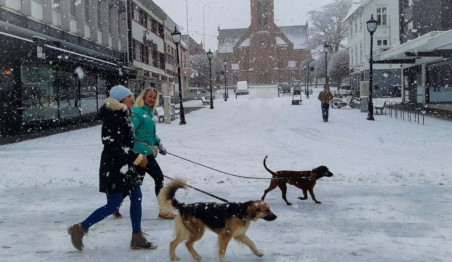 Photo #5926448