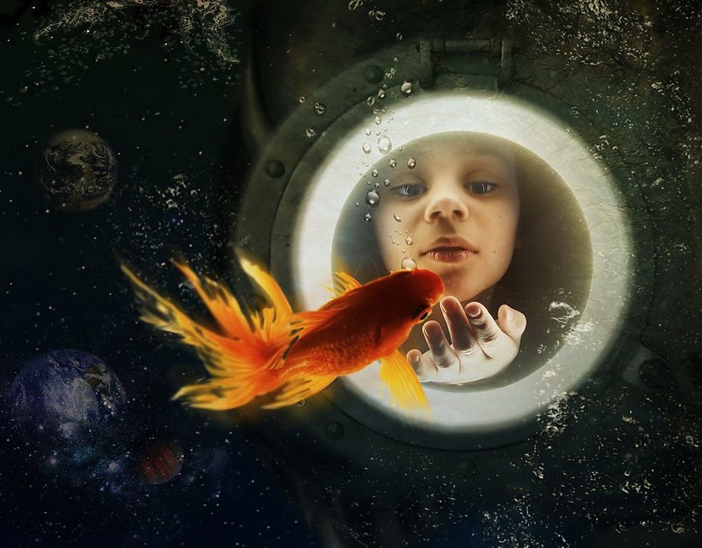 Рыбка моя Золотая.....