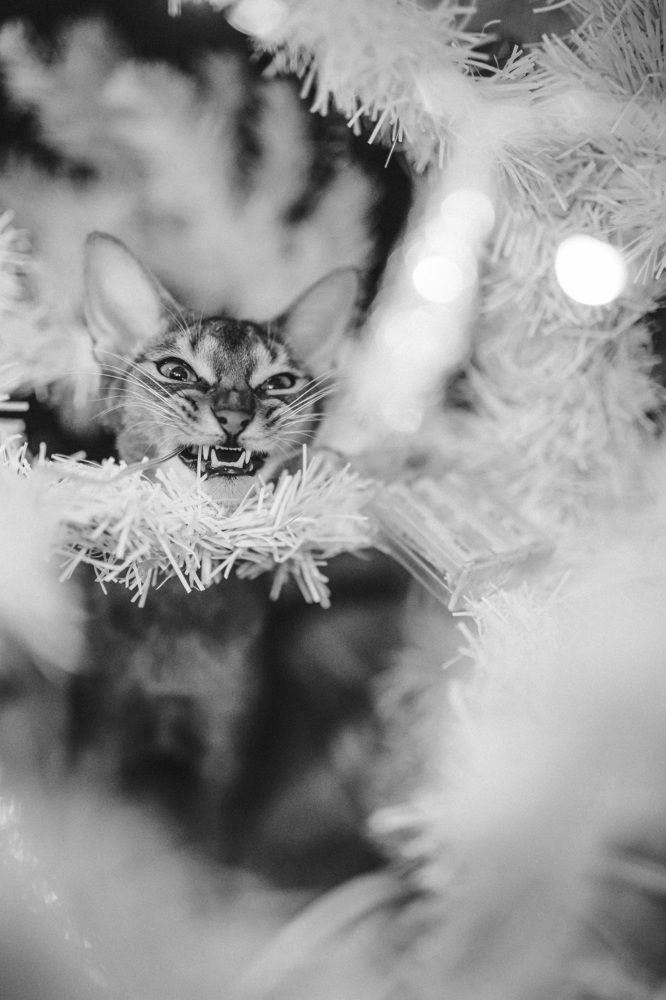 Photograph by Грауле Юлия