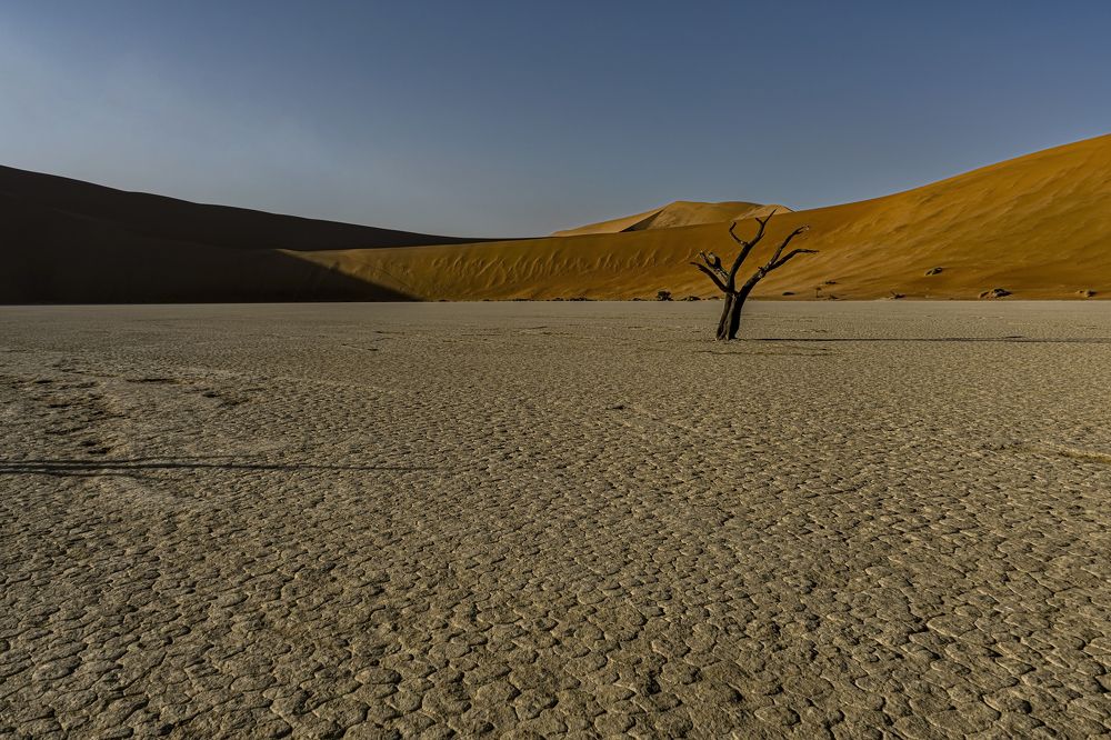 Фотография автора Fikriye Er