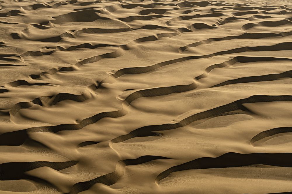 Фотография автора Fikriye Er