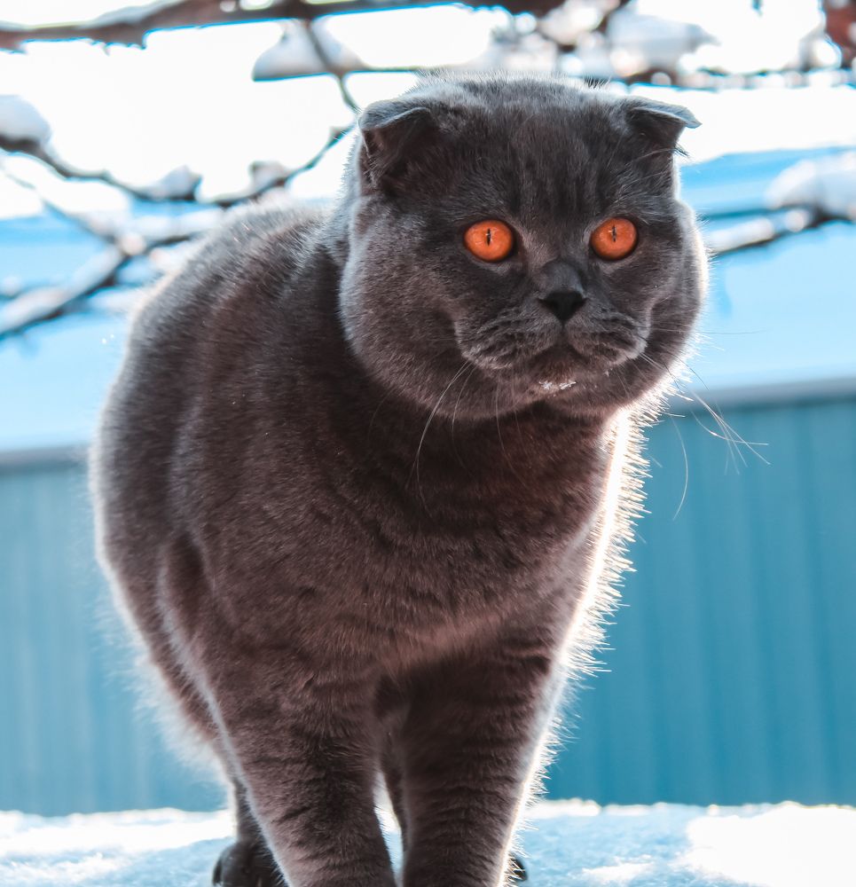 Photograph by Татьяна Слободчикова