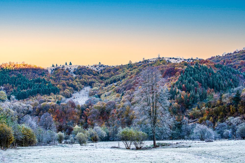 Фотография автора Valentina Mihalache