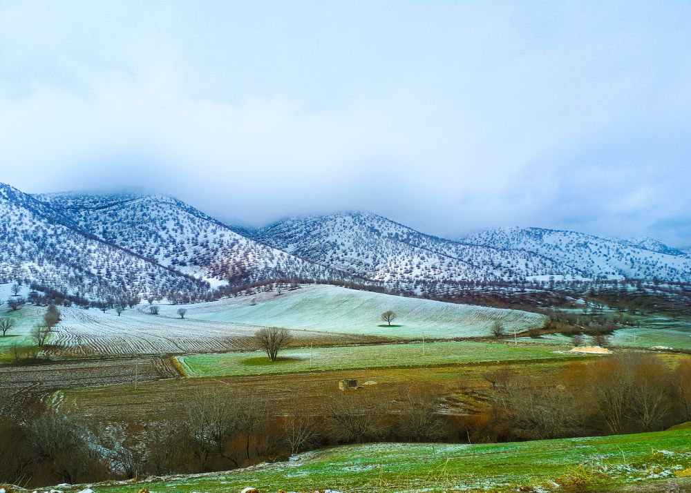 Photograph by Yahya Kakapour