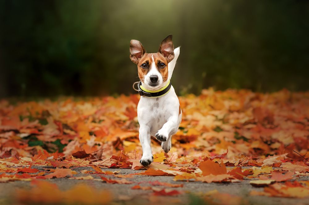 Photograph by Екатерина Кикоть