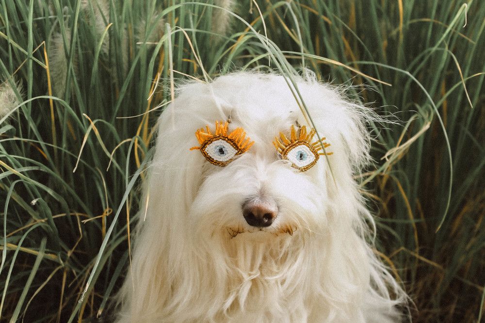 Photograph by Nаtaliia Zolotova