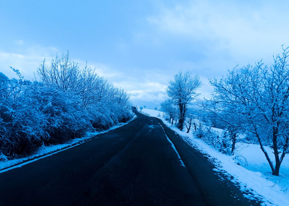 Photograph by Yahya Kakapour