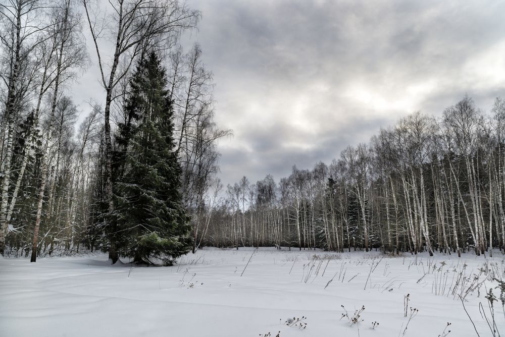 Photograph by Александр Корнейчев