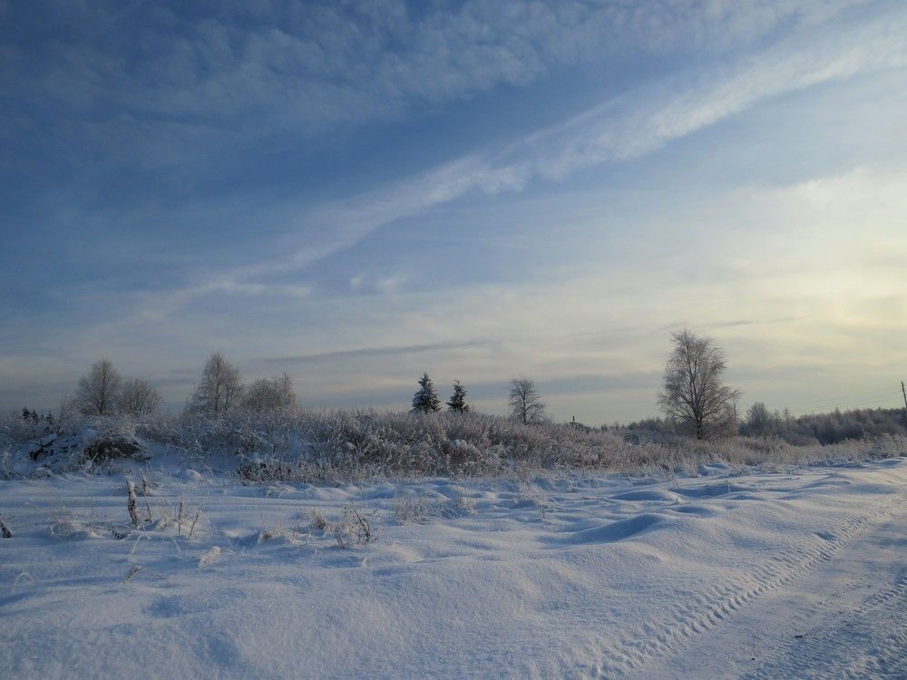 Морозный день