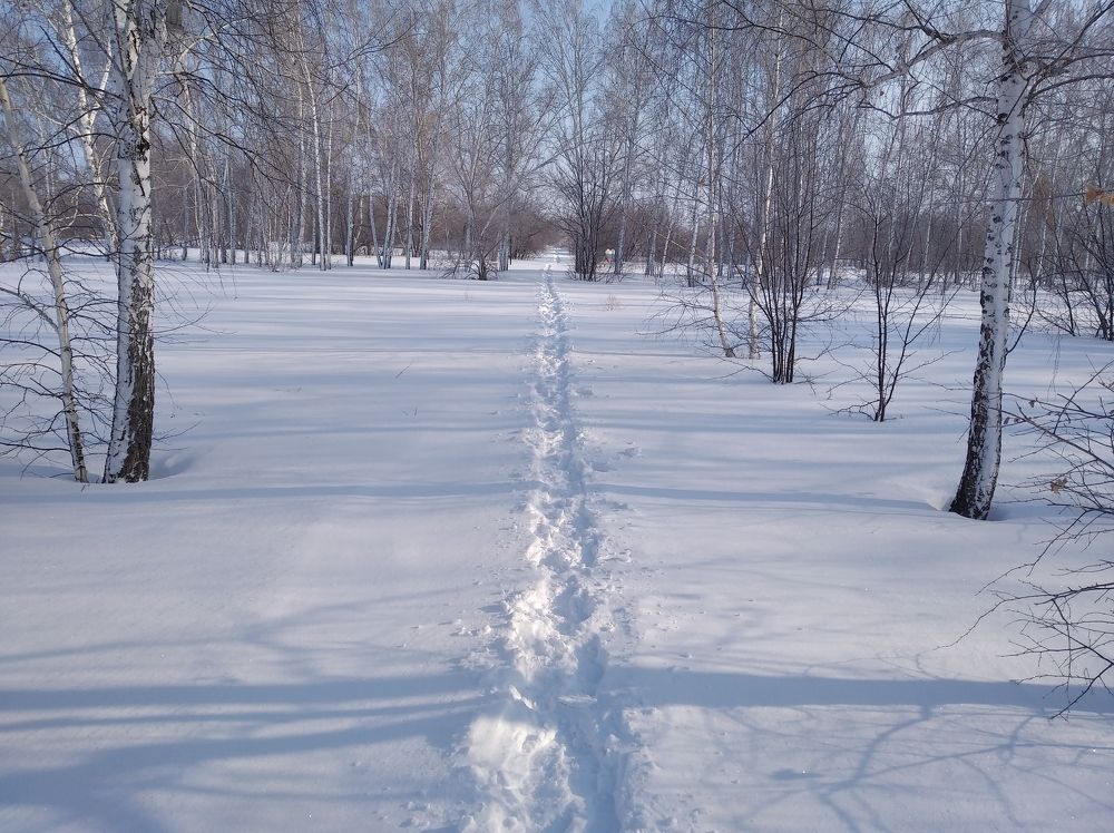 Photograph by Людмила Фризен