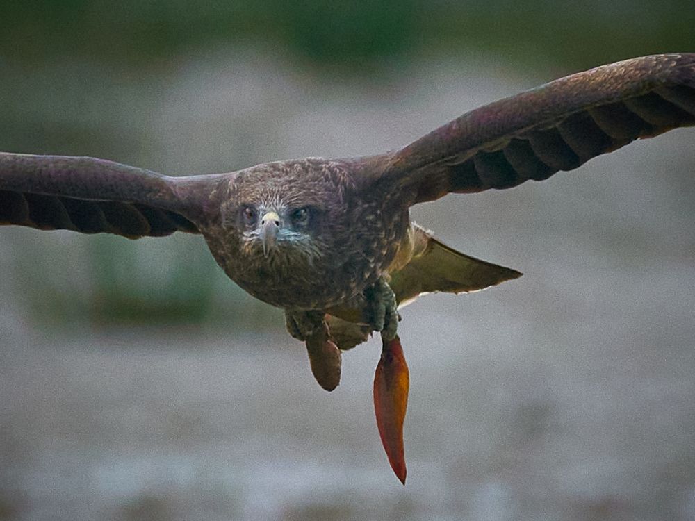 Фотография автора Maurice Leung