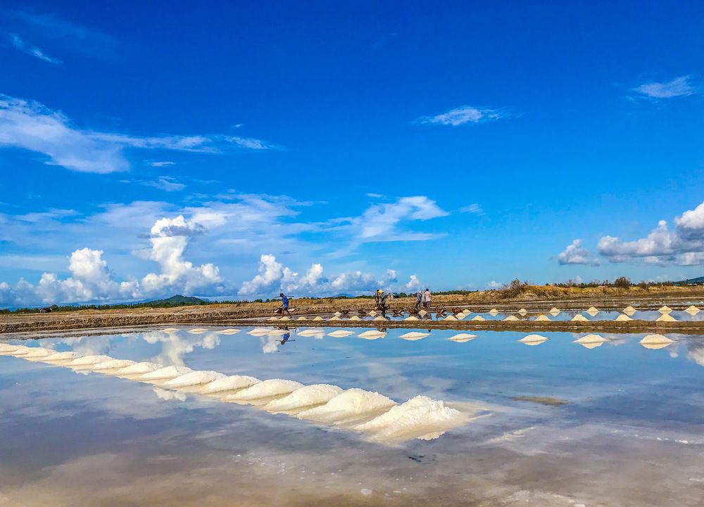 Salt fields