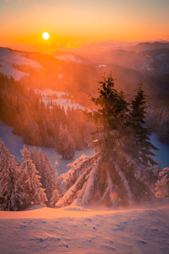 Фотография автора Bogdan Barbulescu