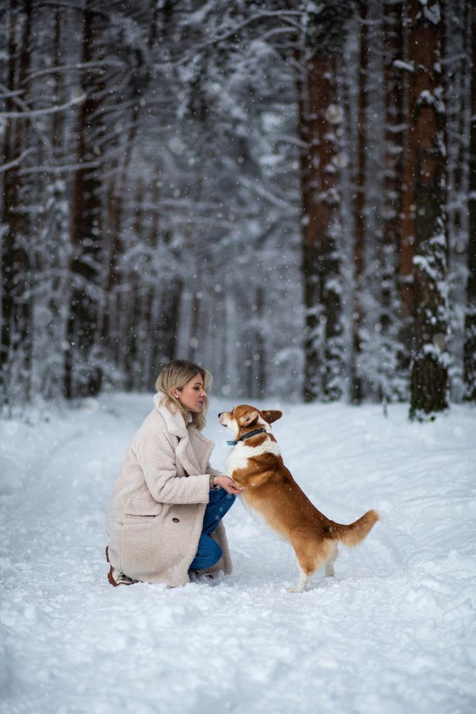 Фотография автора Alona Gryadovaya