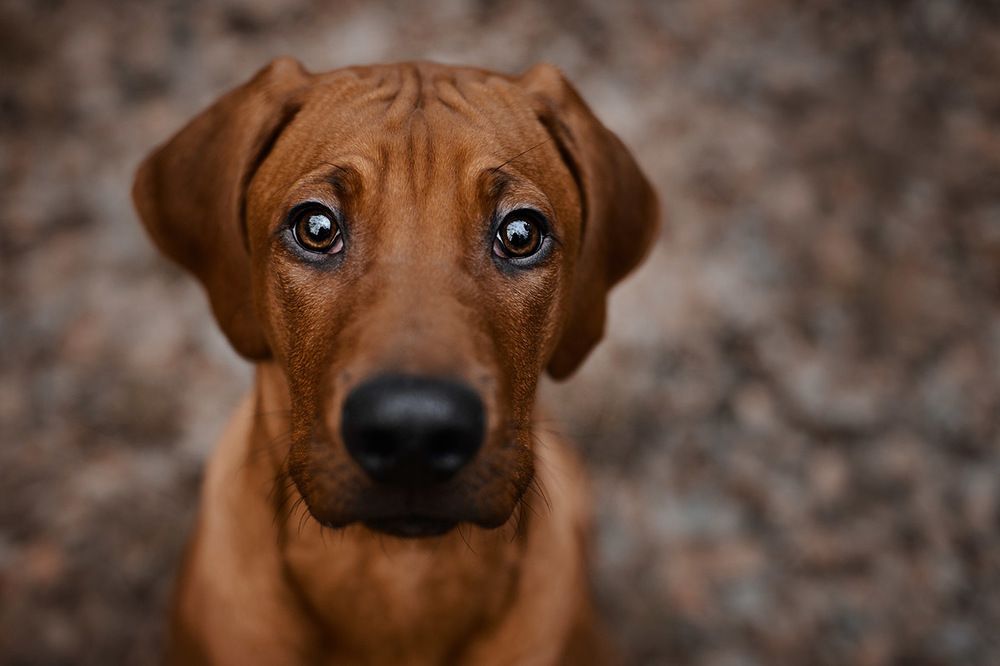 Photograph by Ольга Хазай