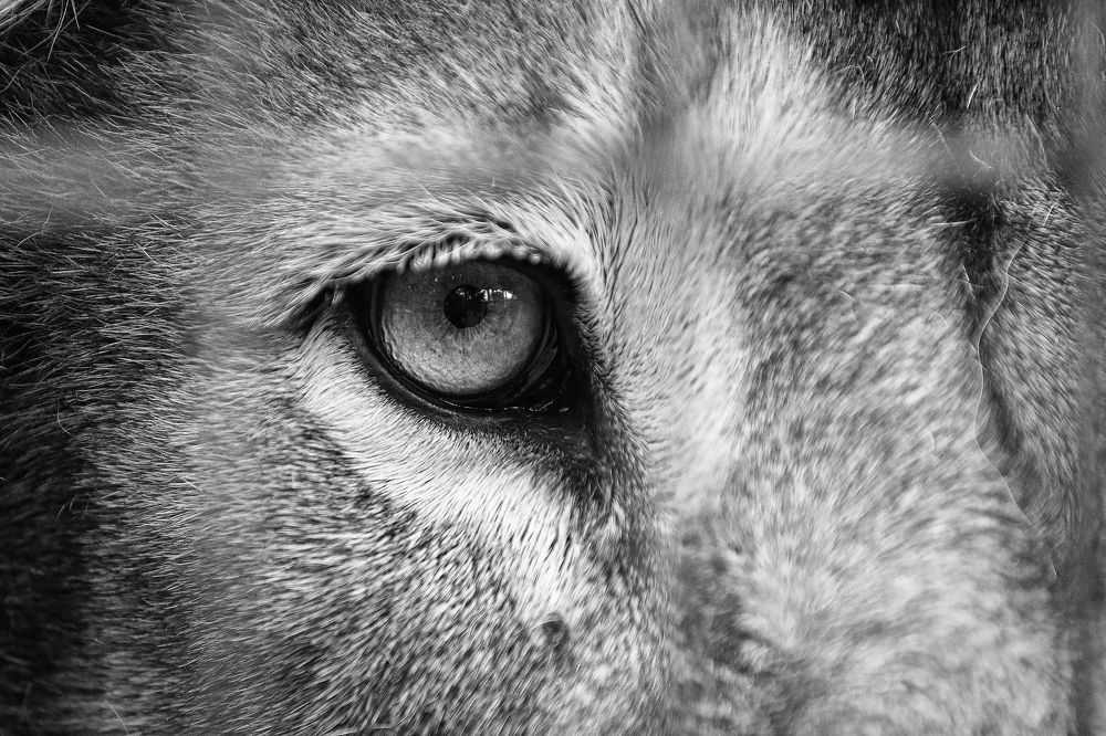 Photograph by Наталия Макарова