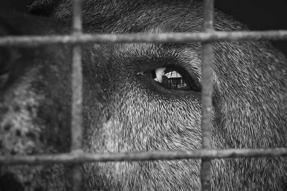 Photograph by Наталия Макарова