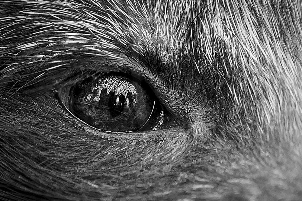 Photograph by Наталия Макарова