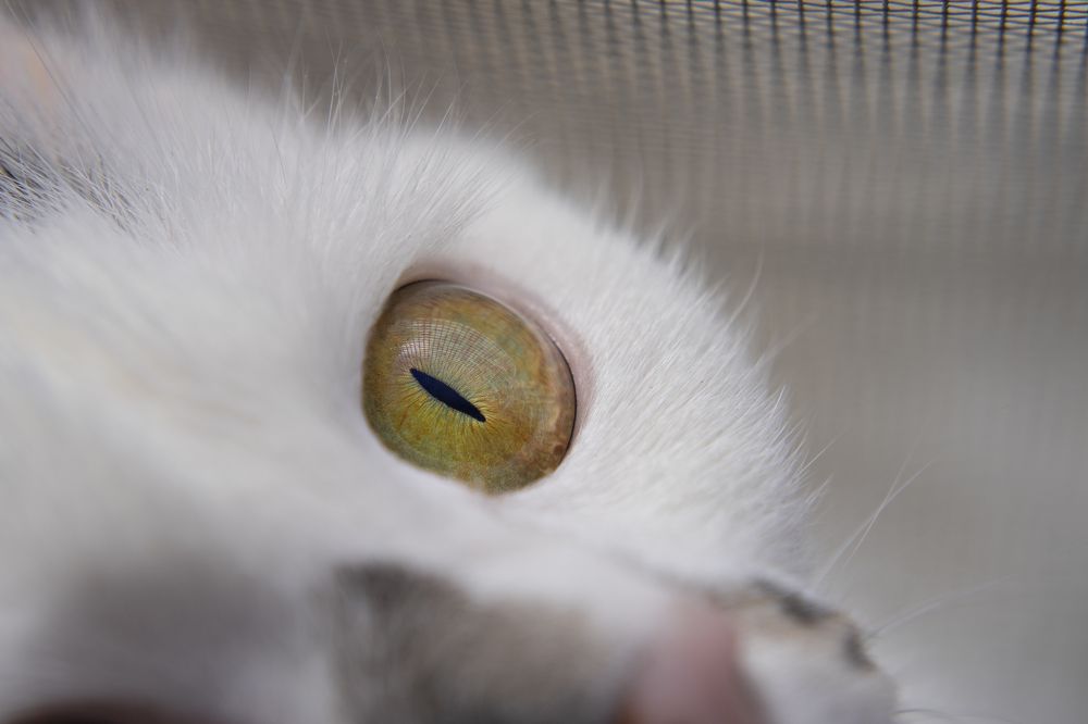 Photograph by Ксения Щербакова