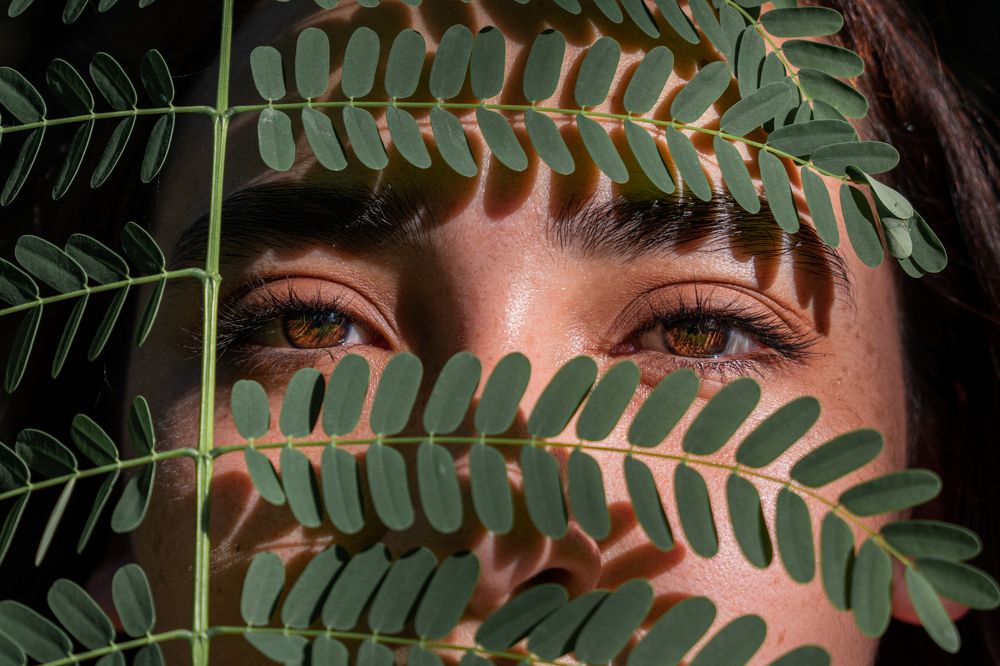 Cautivando la naturaleza