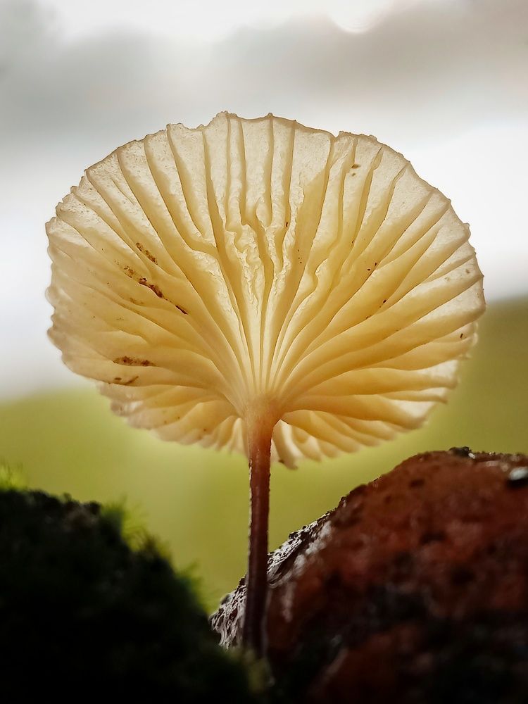 Photograph by Tomas Hadi