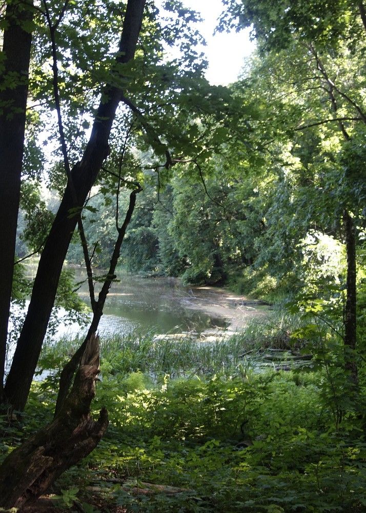 Фотография автора Валентина Рихмаер