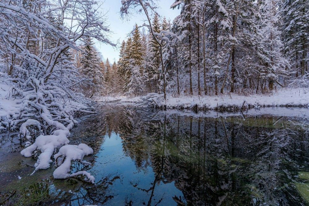 Photograph by Susanna Kari