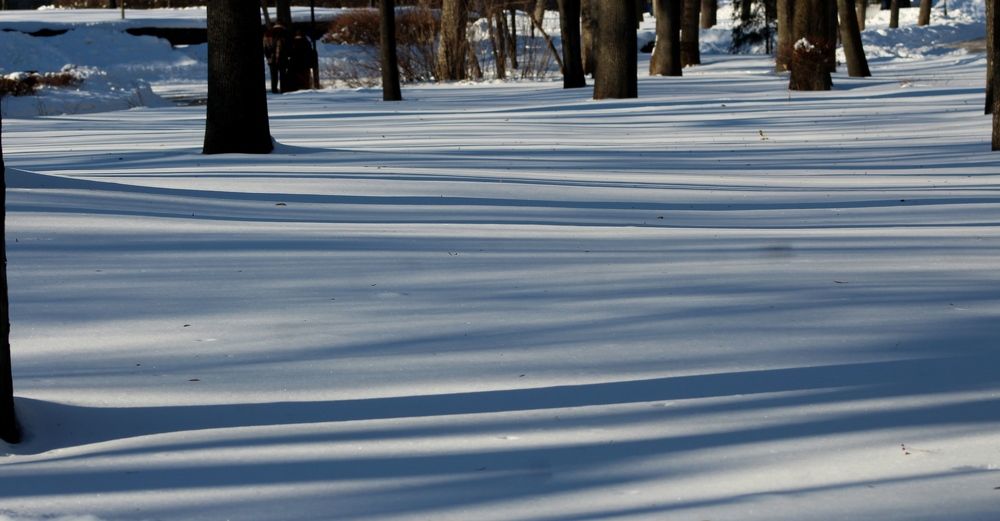 Photograph by Galina Tsmyg